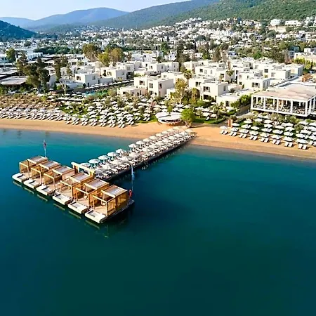 Voyage Torba Irmene